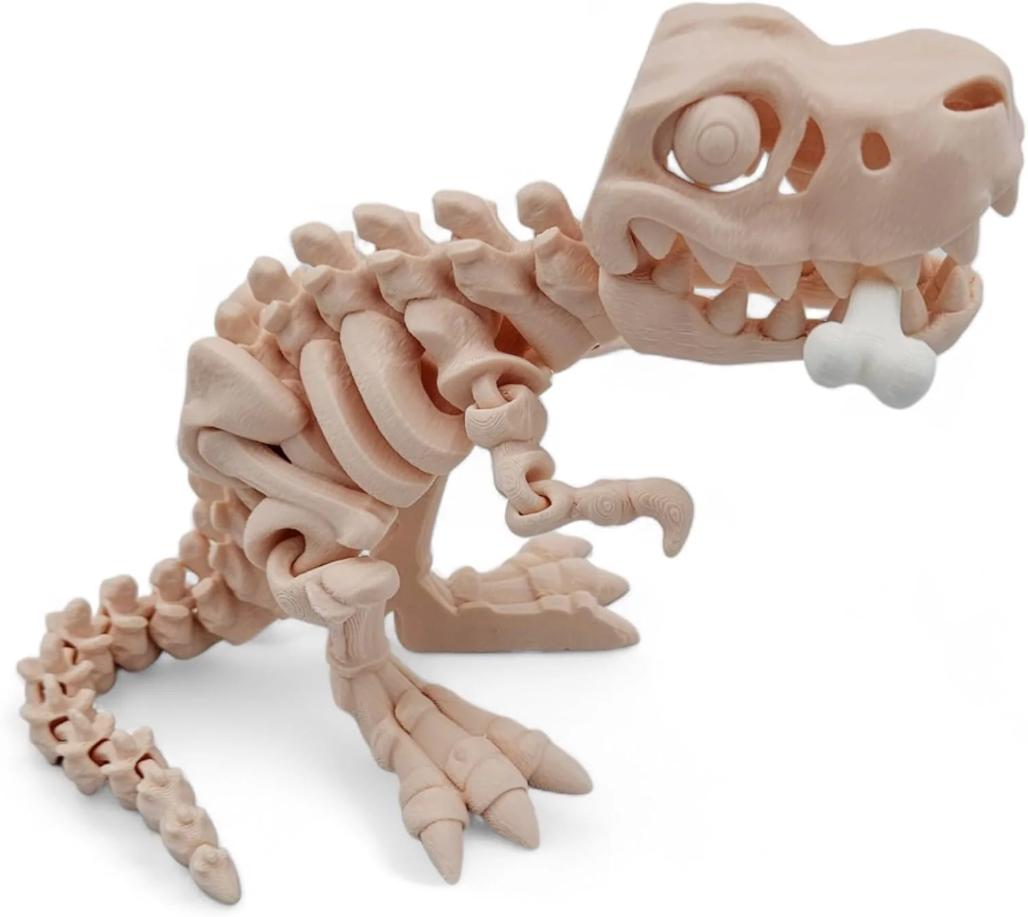 Flexi T-Rex Fidget Toy - Image 9