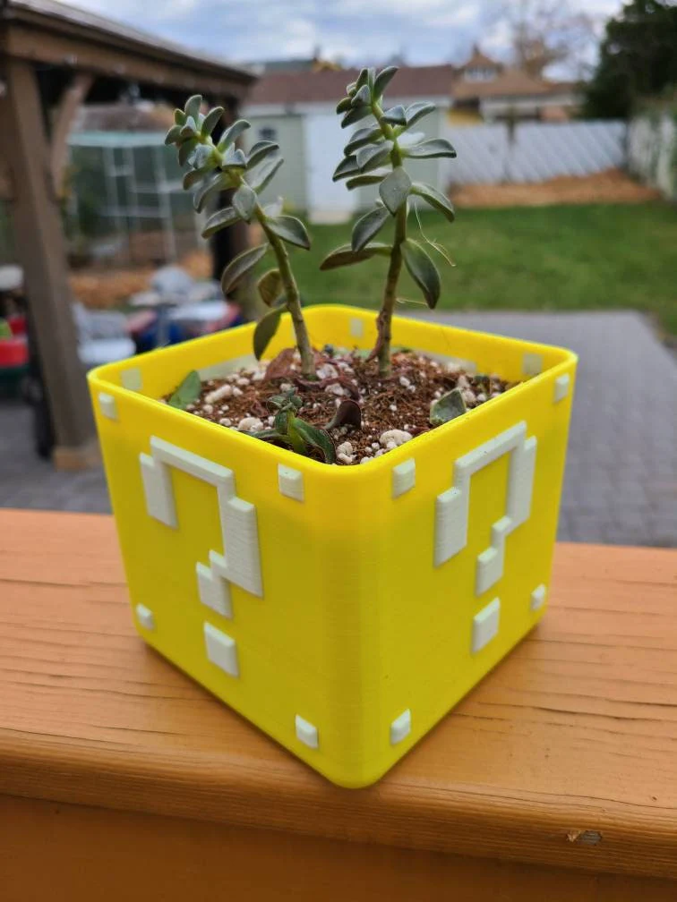 Super Mario Planter Box For Succulents - Image 4
